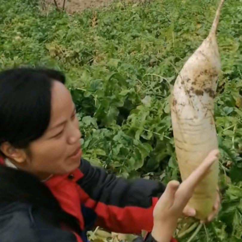 花花优选土特产