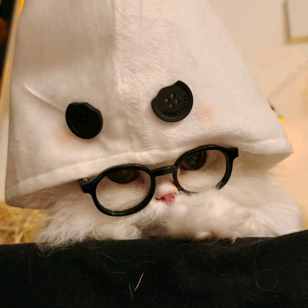 兜兜有米₍˄·͈༝·͈˄*₎