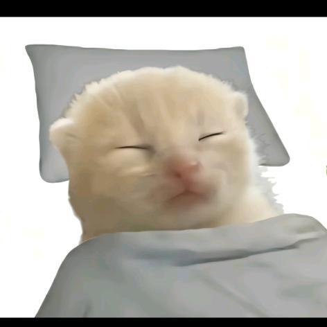 负星