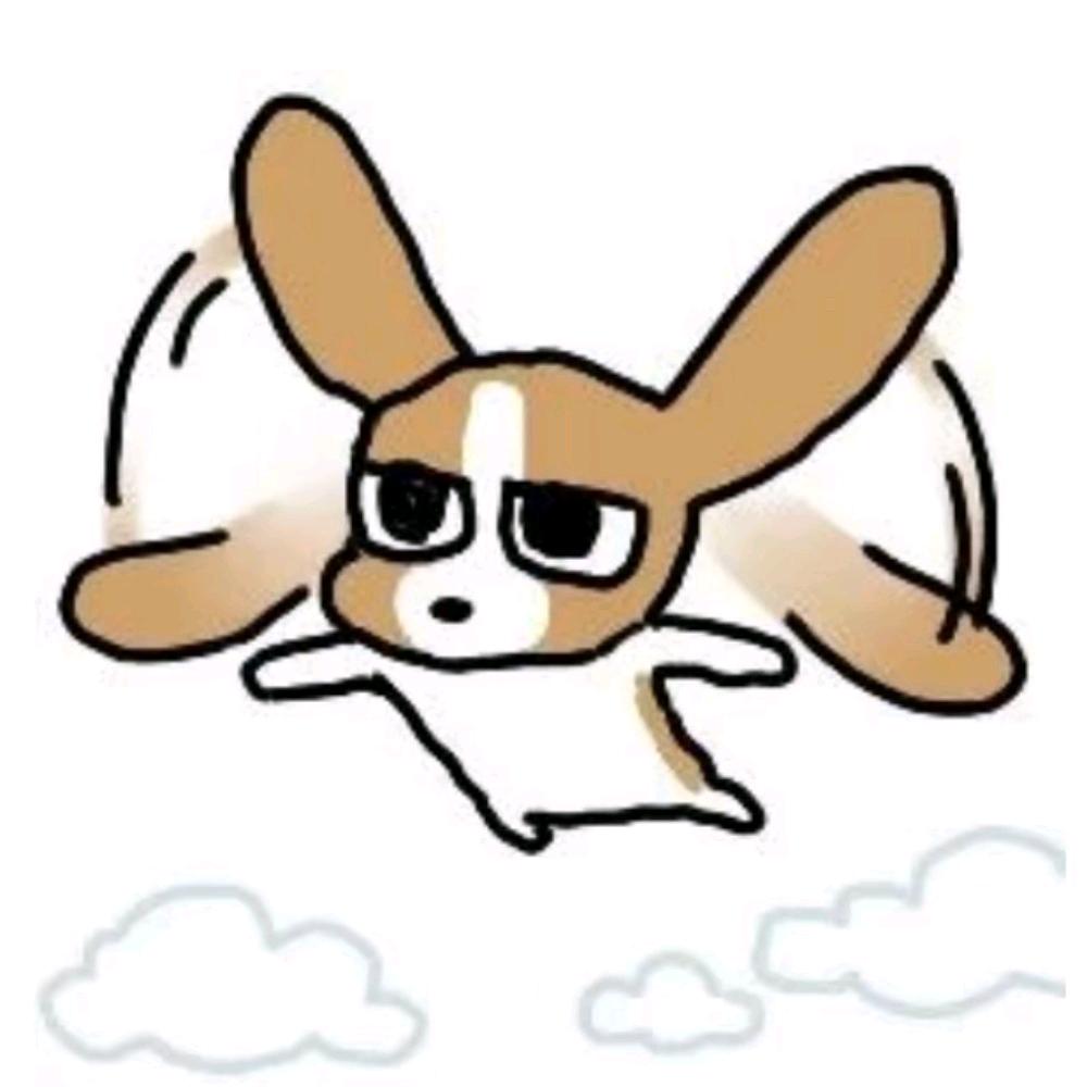 我是小白