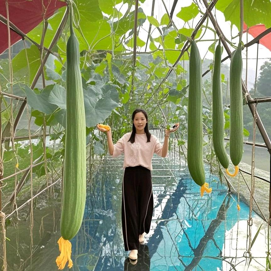 我的丝瓜园