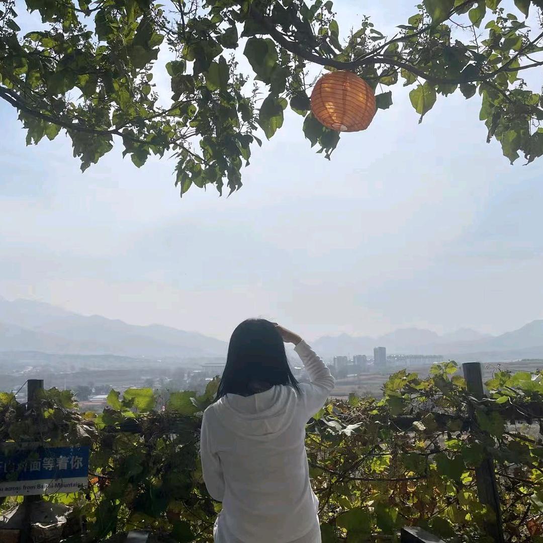 果粒橙🍊