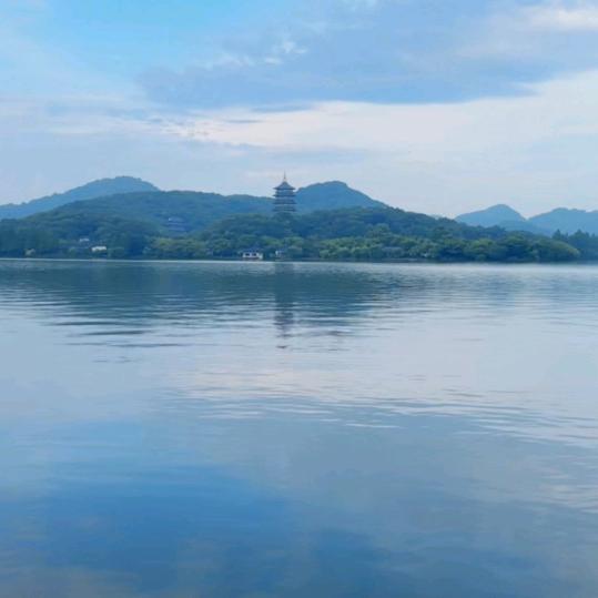 你若盛开，清风自来