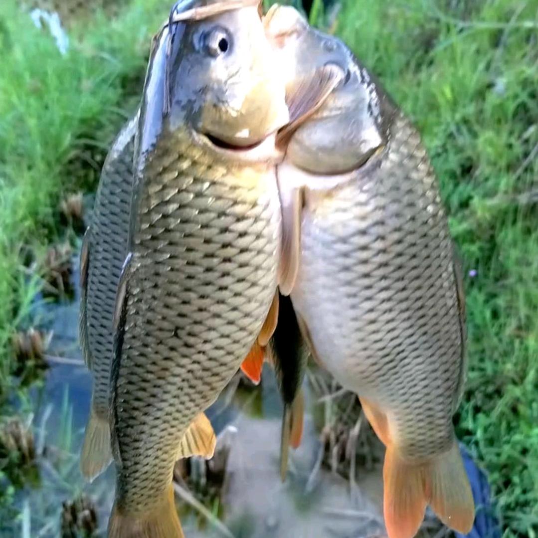 ✅ 毅  哥 等你归来