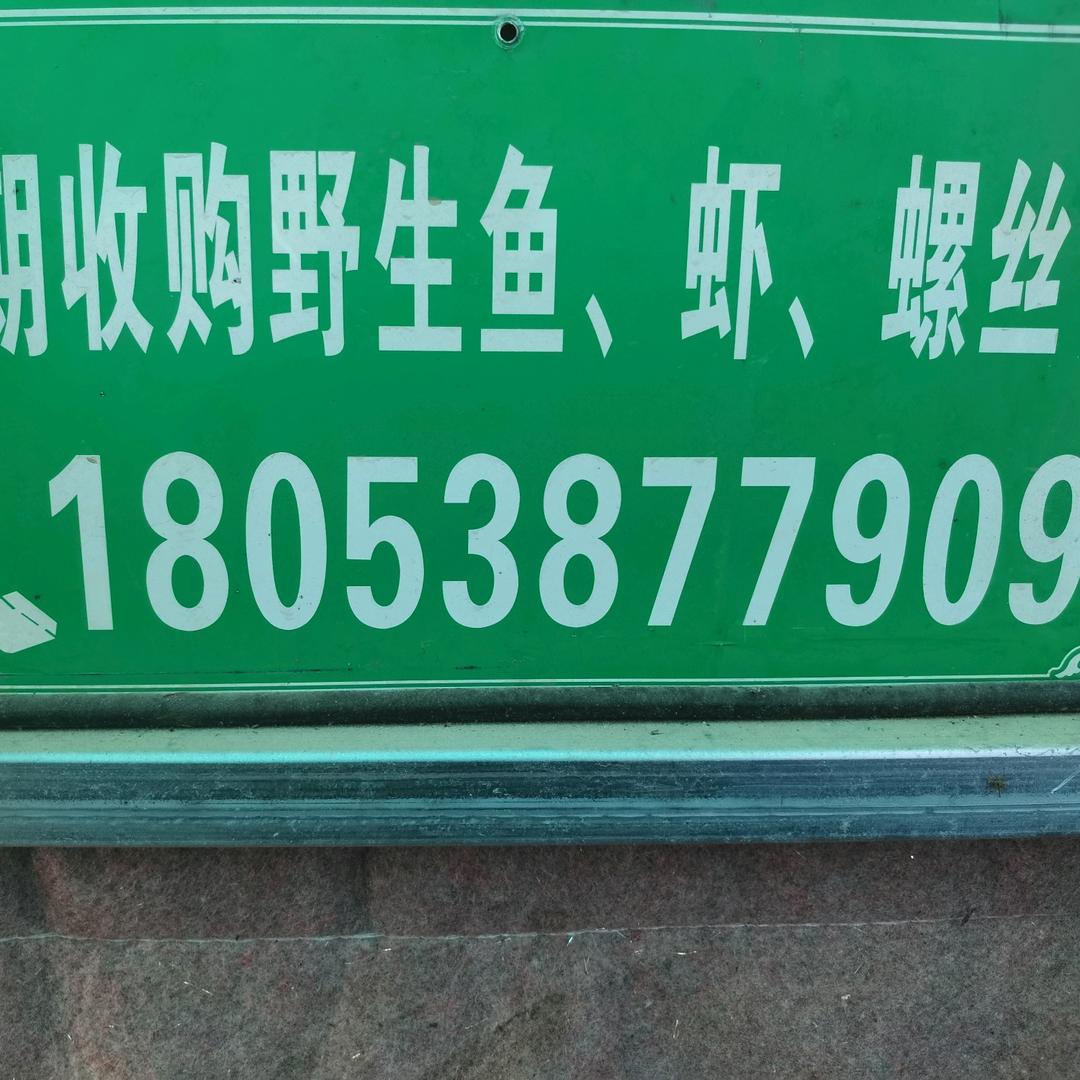 小清河淡水资源（野生鱼供应）