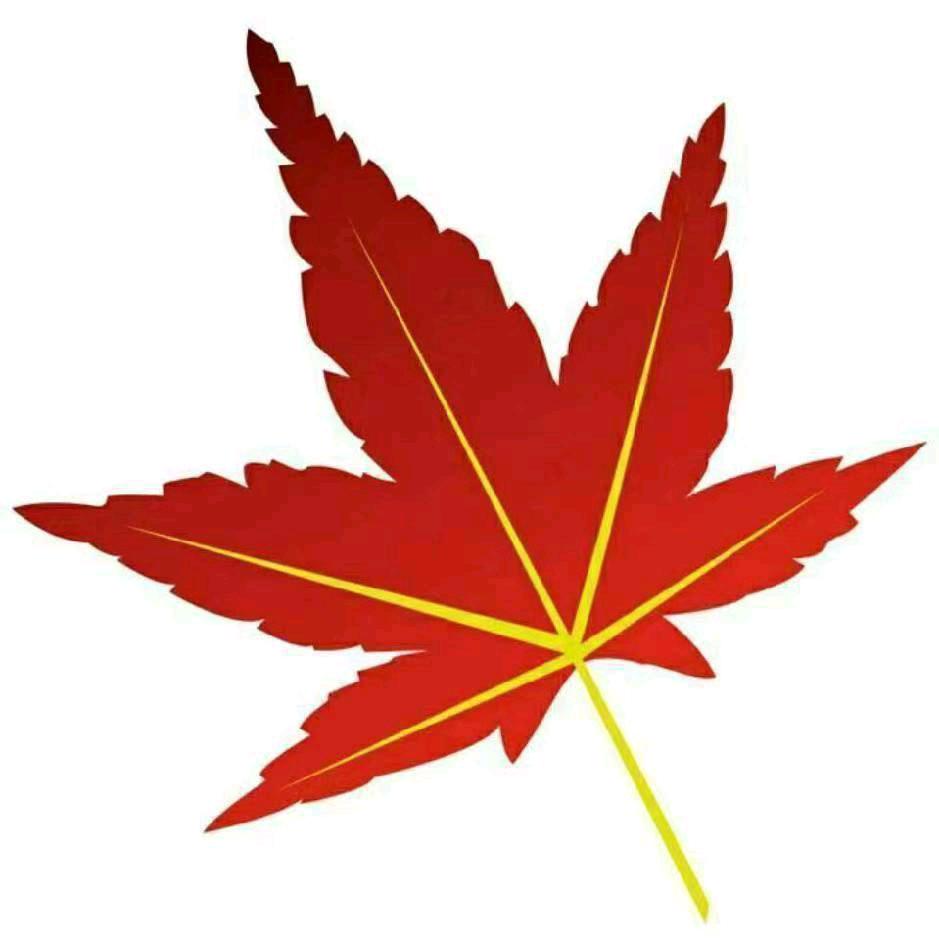 点点滴滴