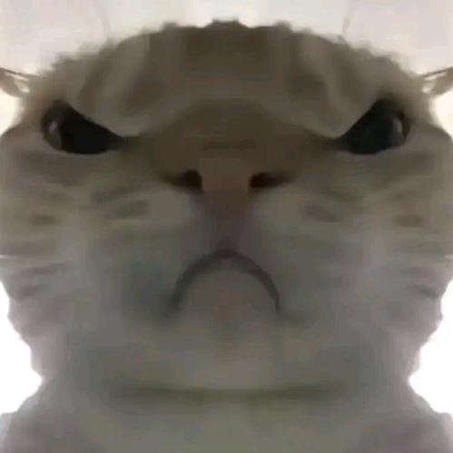 白利