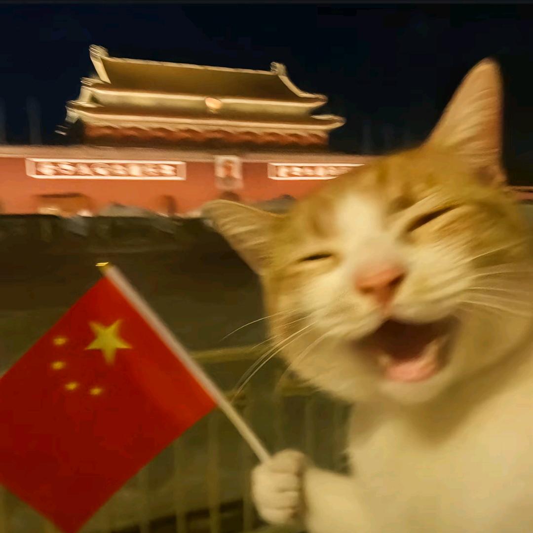 真憨憨
