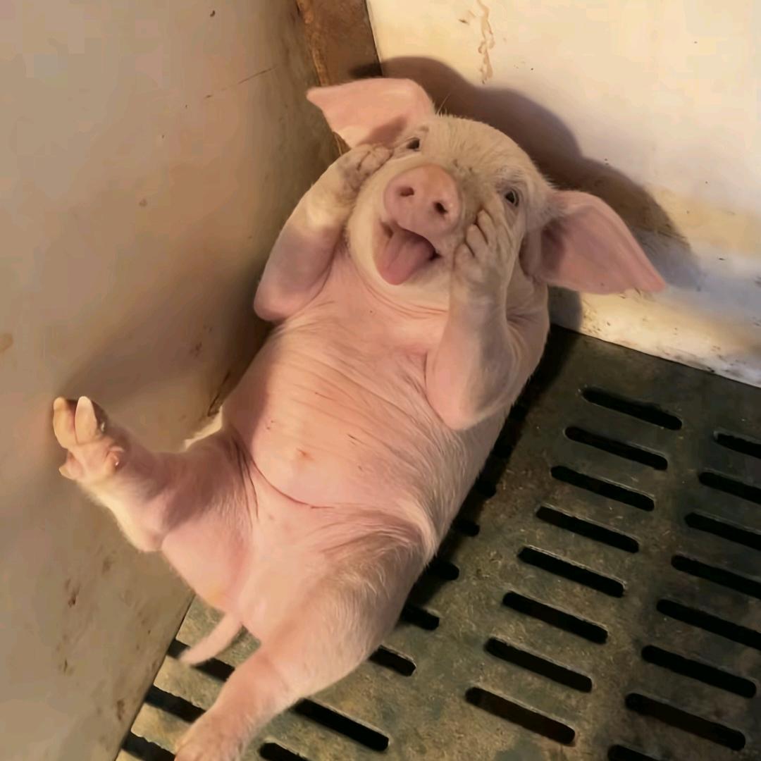 阿琅