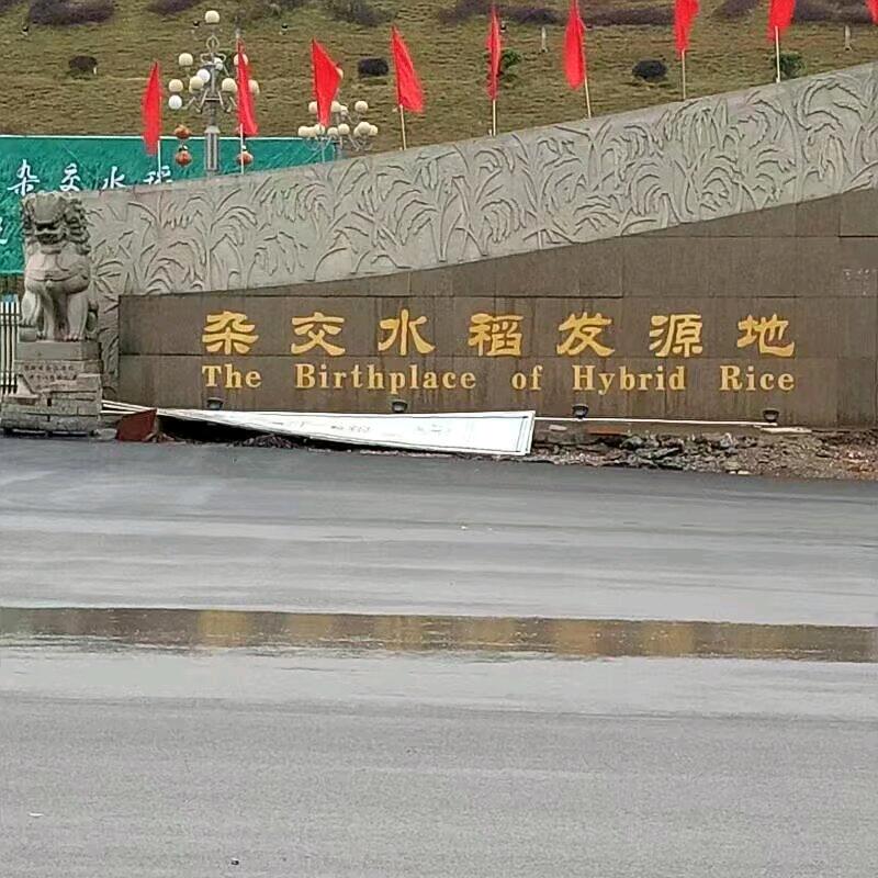 张三看世界