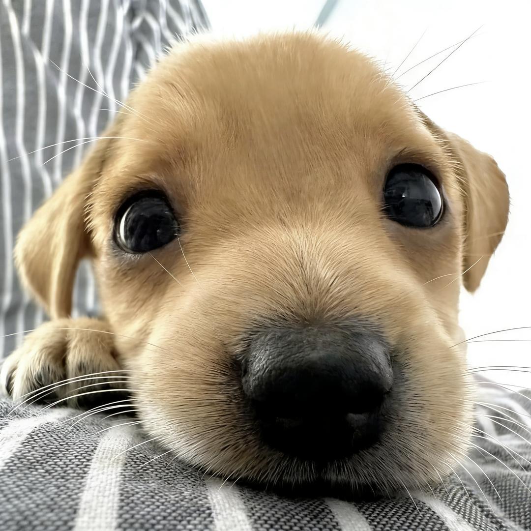 承承ᵇ