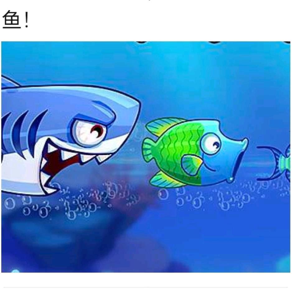 小雷子🎣🐬
