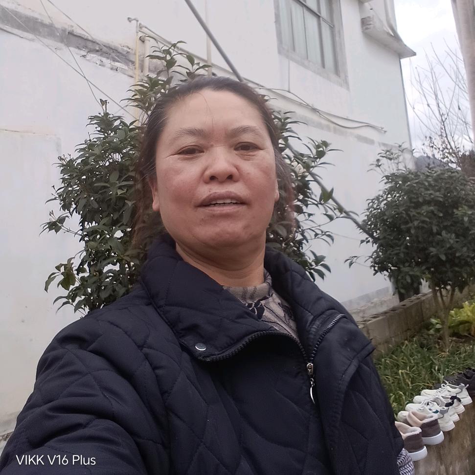 飞姐