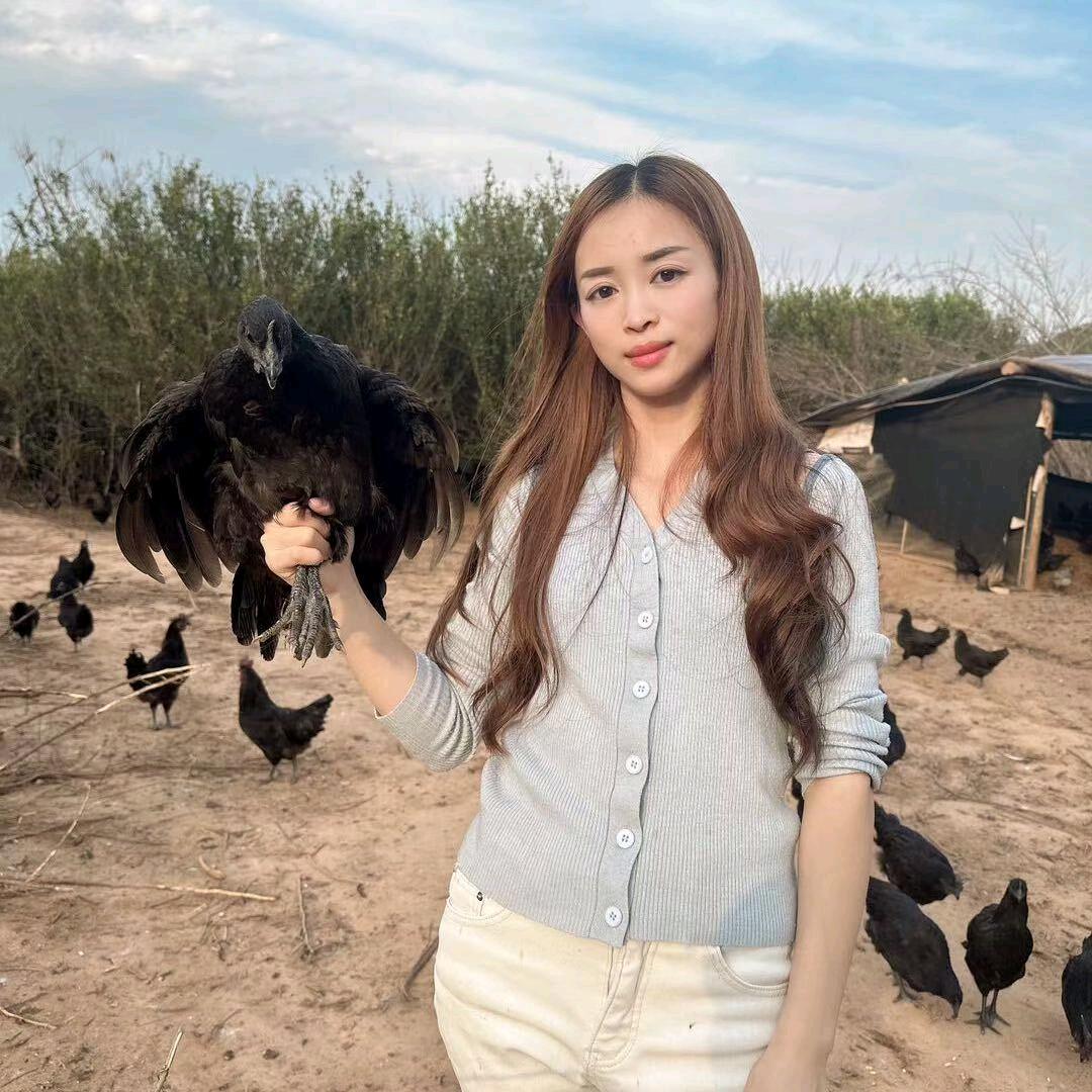 可乐家的鸡小铺