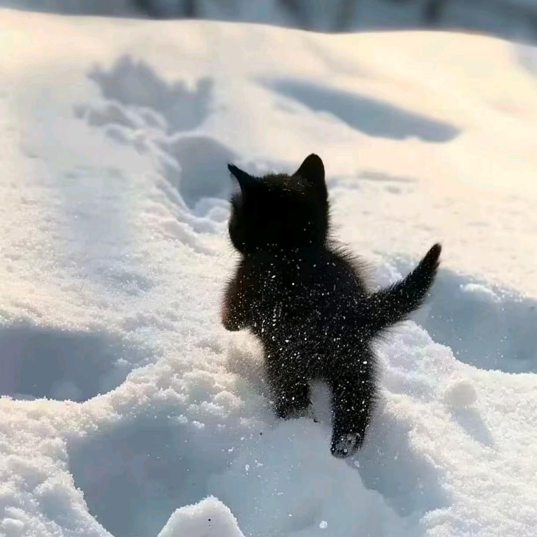 山雾.