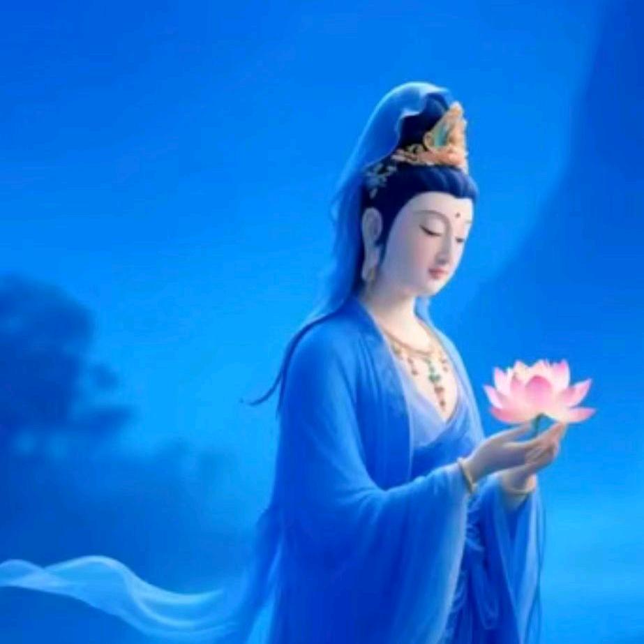 💰🙏天爷🙏💰