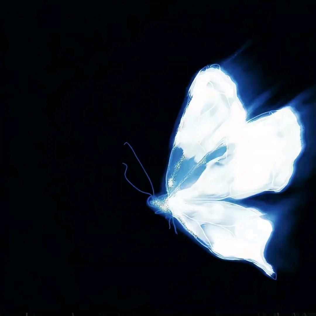 正直男