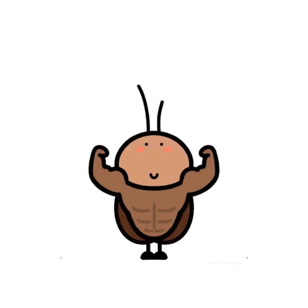小海星