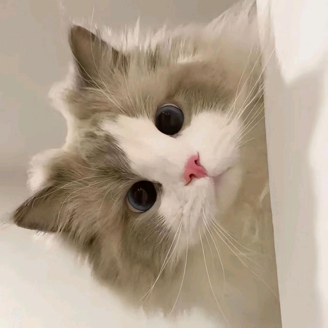 上善若水🌻