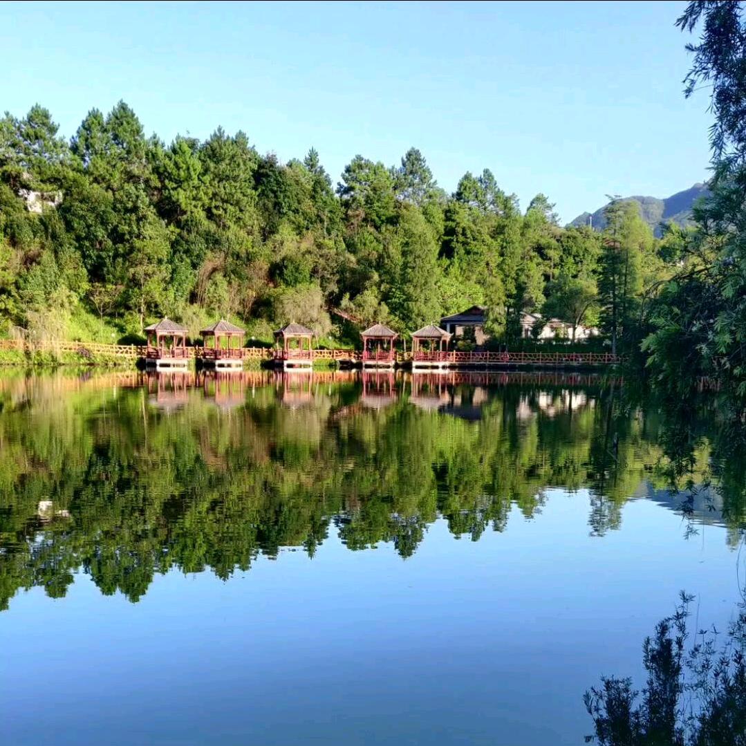 蔡，天山童老！