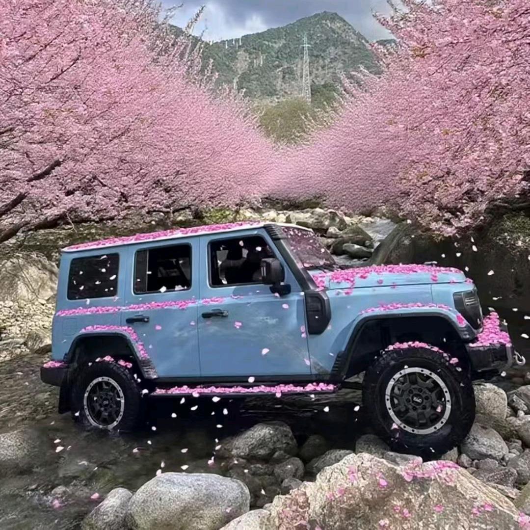 晋城市（买戈）好车