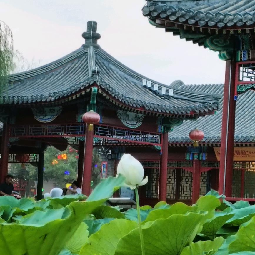 人在旅途心随景动