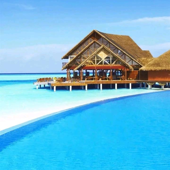 平淡是真😂( ˃̶̤́ ꒳ ˂̶̤̀ )