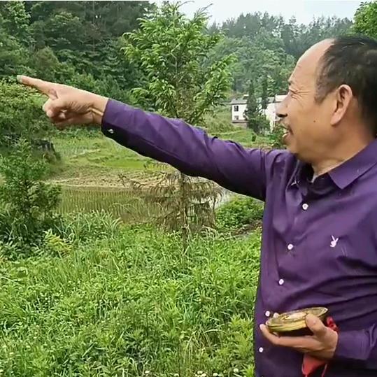 利川黄。民间文化