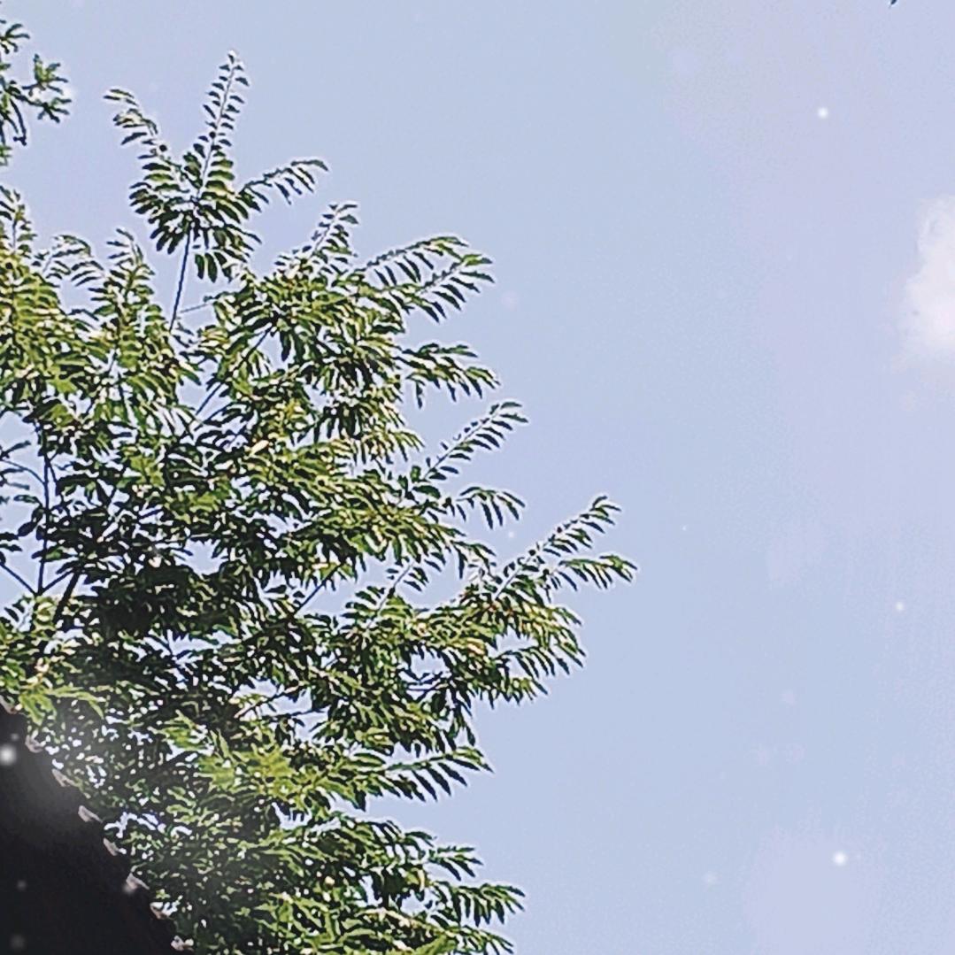 ꧁珍惜↹拥有꧂
