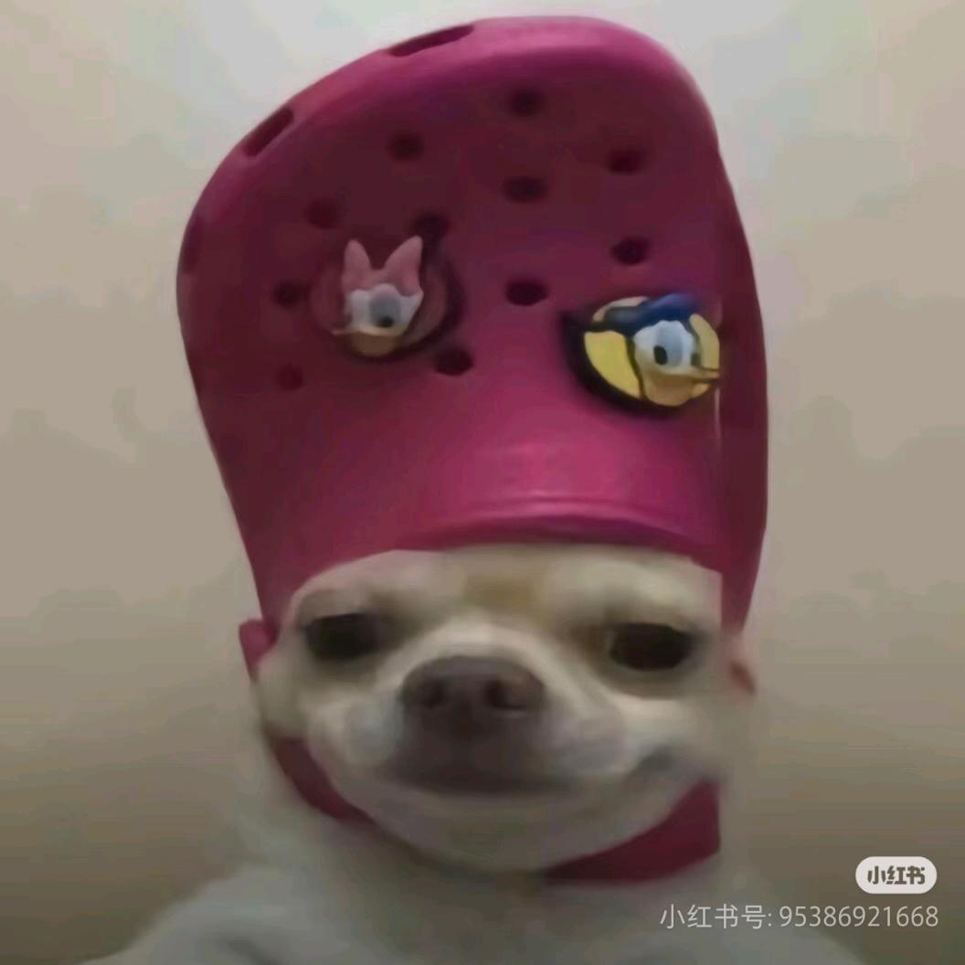 租房主理人_小张