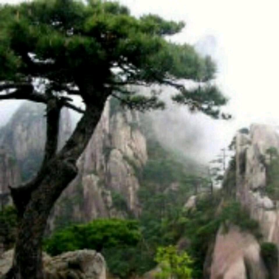 任哥
