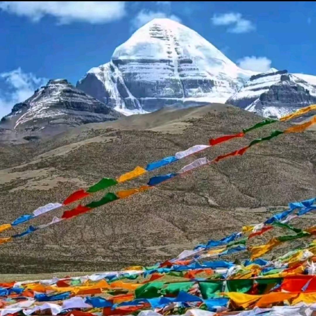 低头不是我的性格。