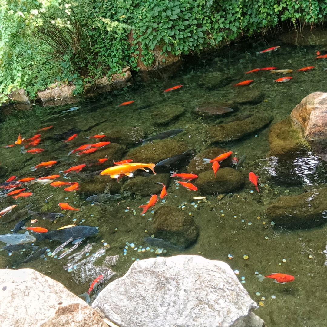 爱霞的生活小店