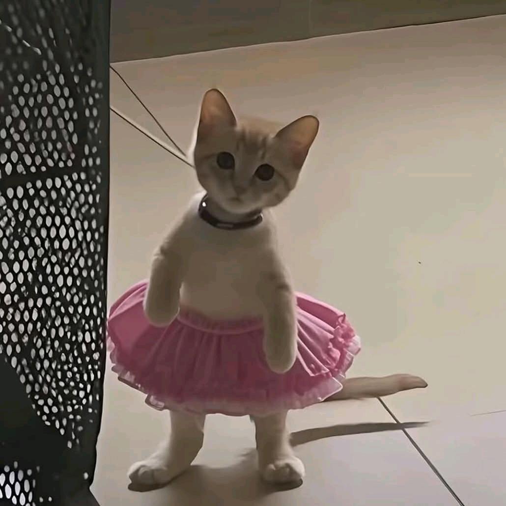 发财发财发大财