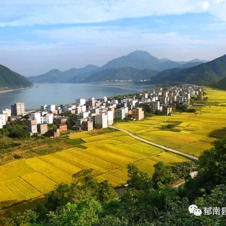 月是故乡明