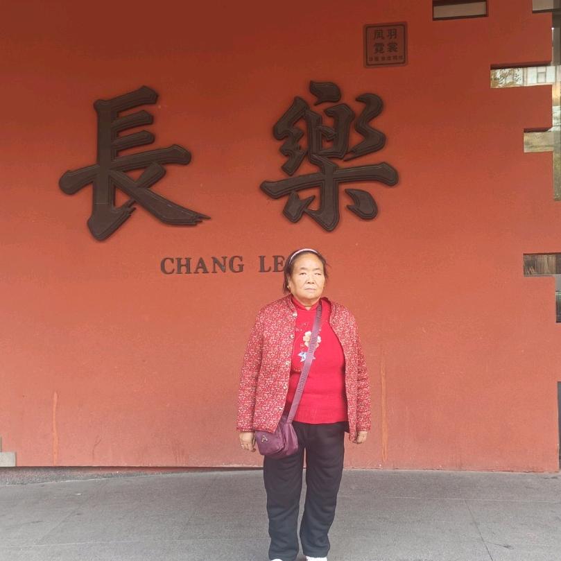 自由自在