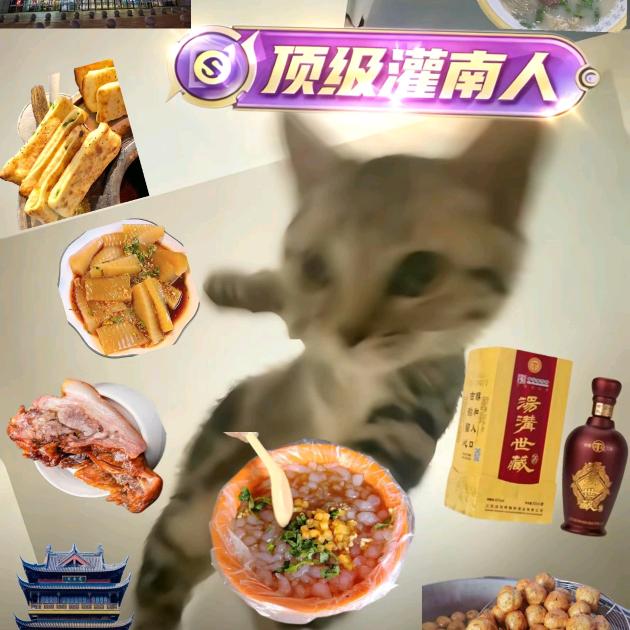 热爱105℃的你🥳