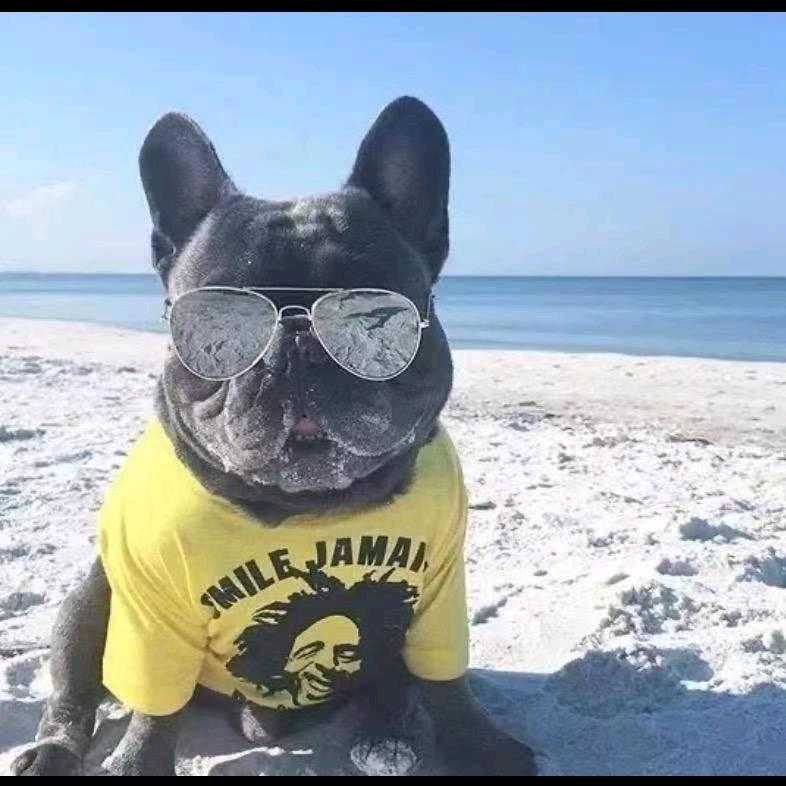 布莱恩特（三角洲行动）