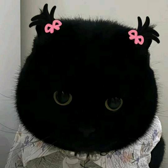 猫猫大王