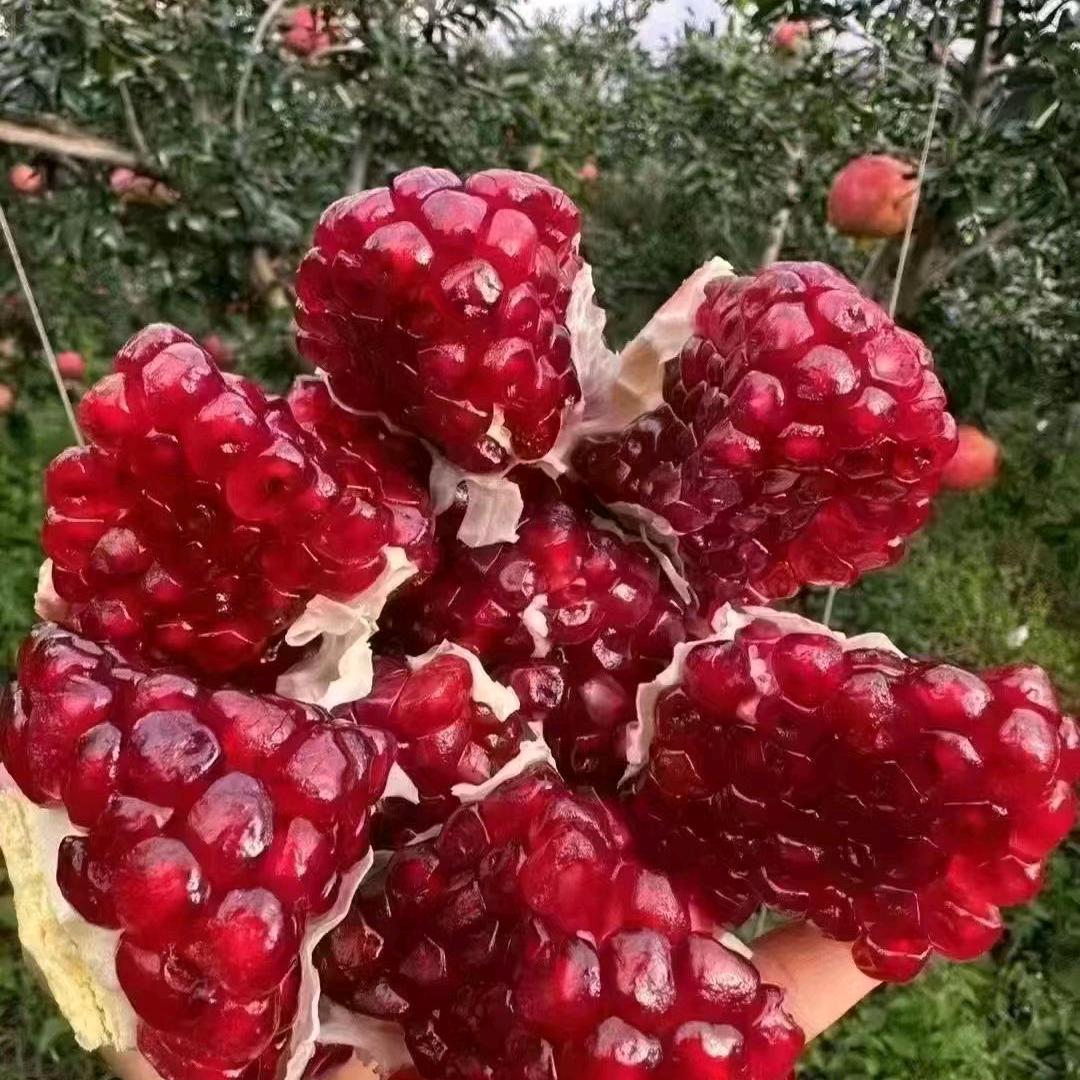 雨后见彩虹
