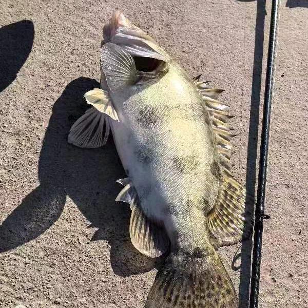 🌈梦想与现实🌈