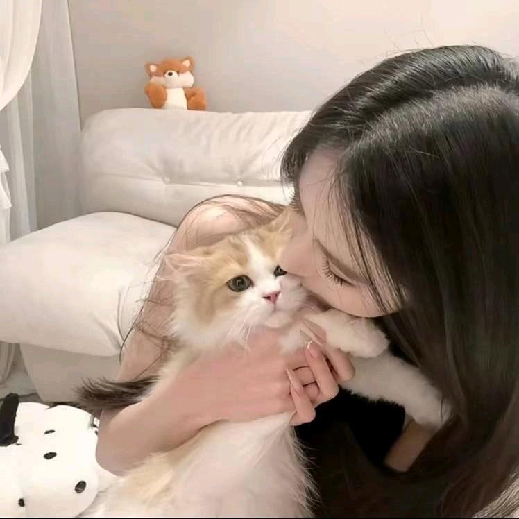 想睡觉