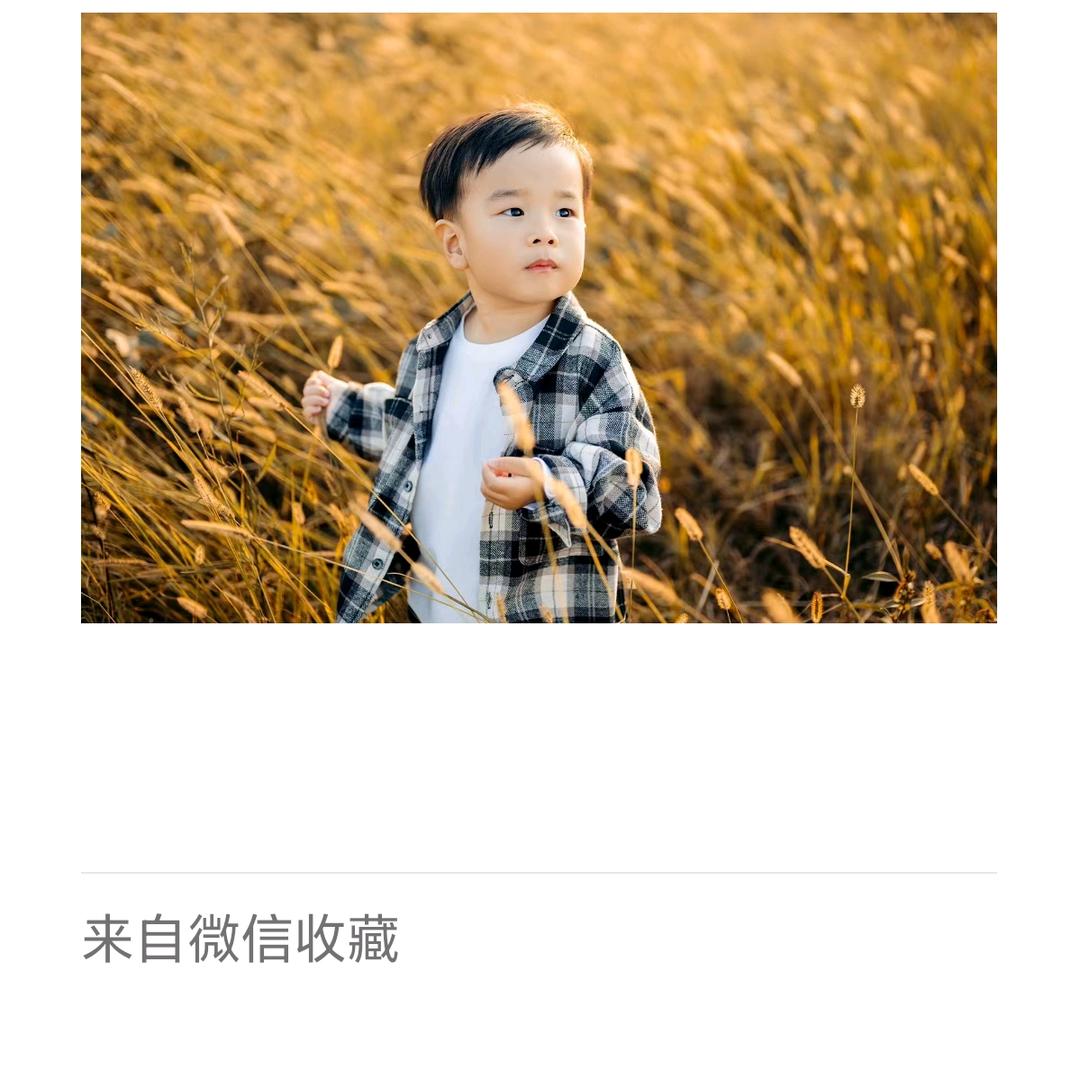老潘