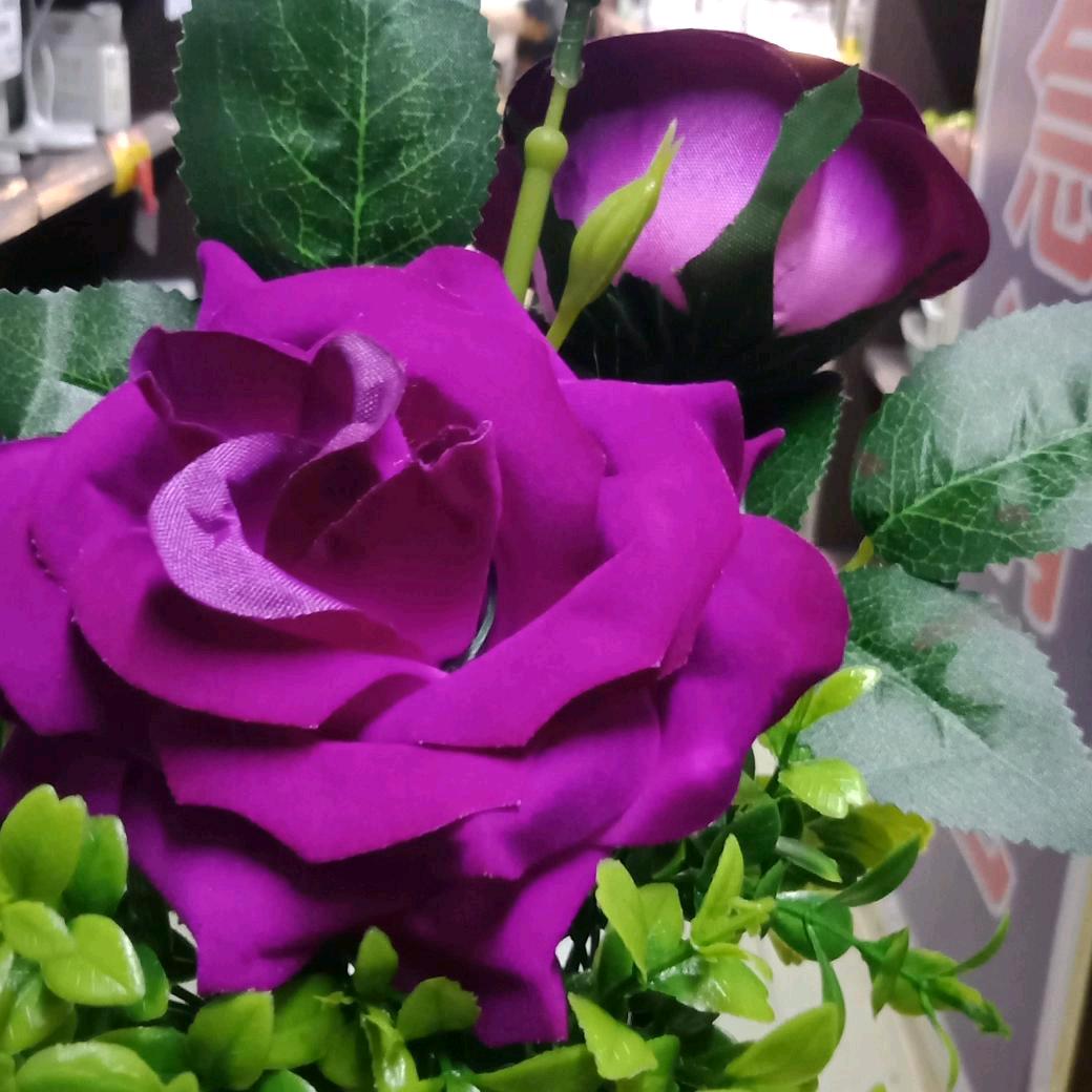 渠县弯弯县。聊天直播