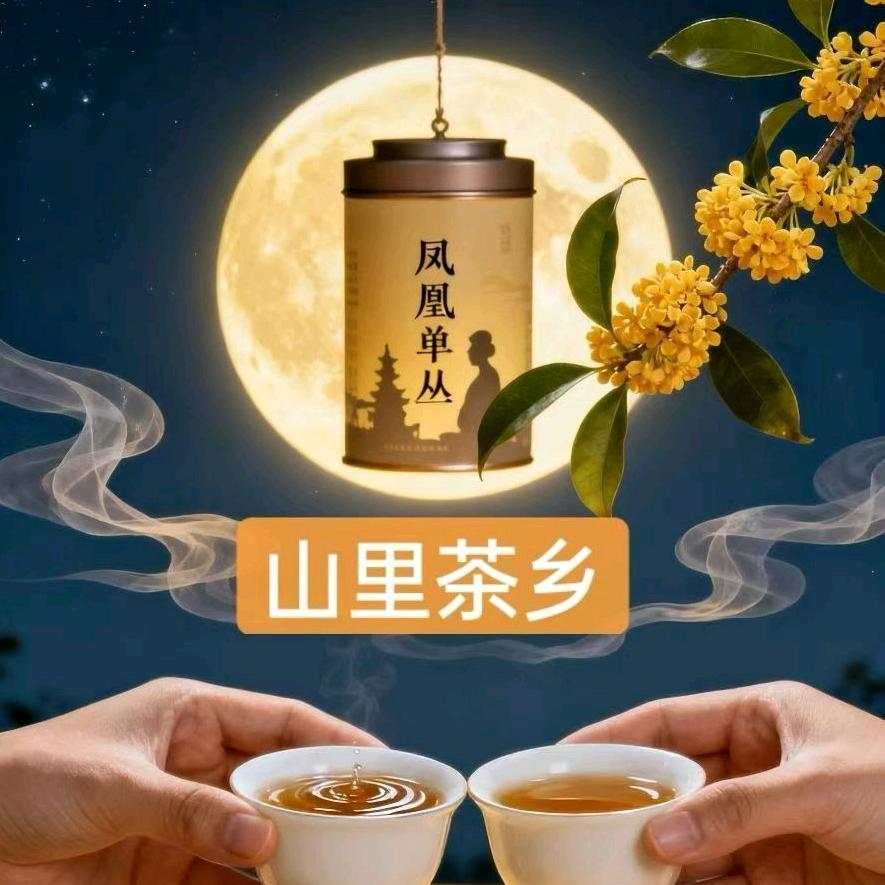 山里茶乡
