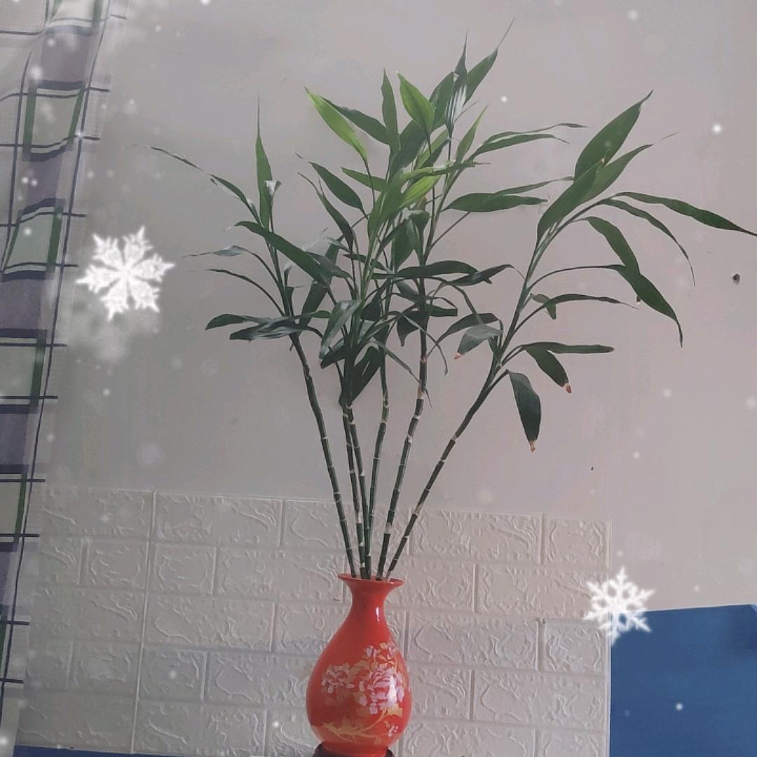 德福堂伴读