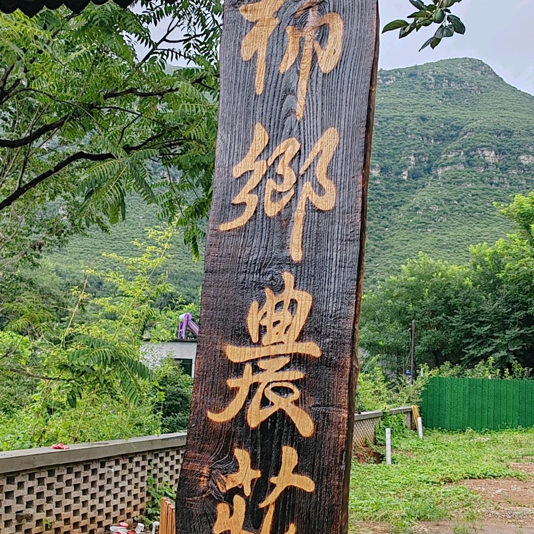 柿乡农业：保定冰柿生产厂家