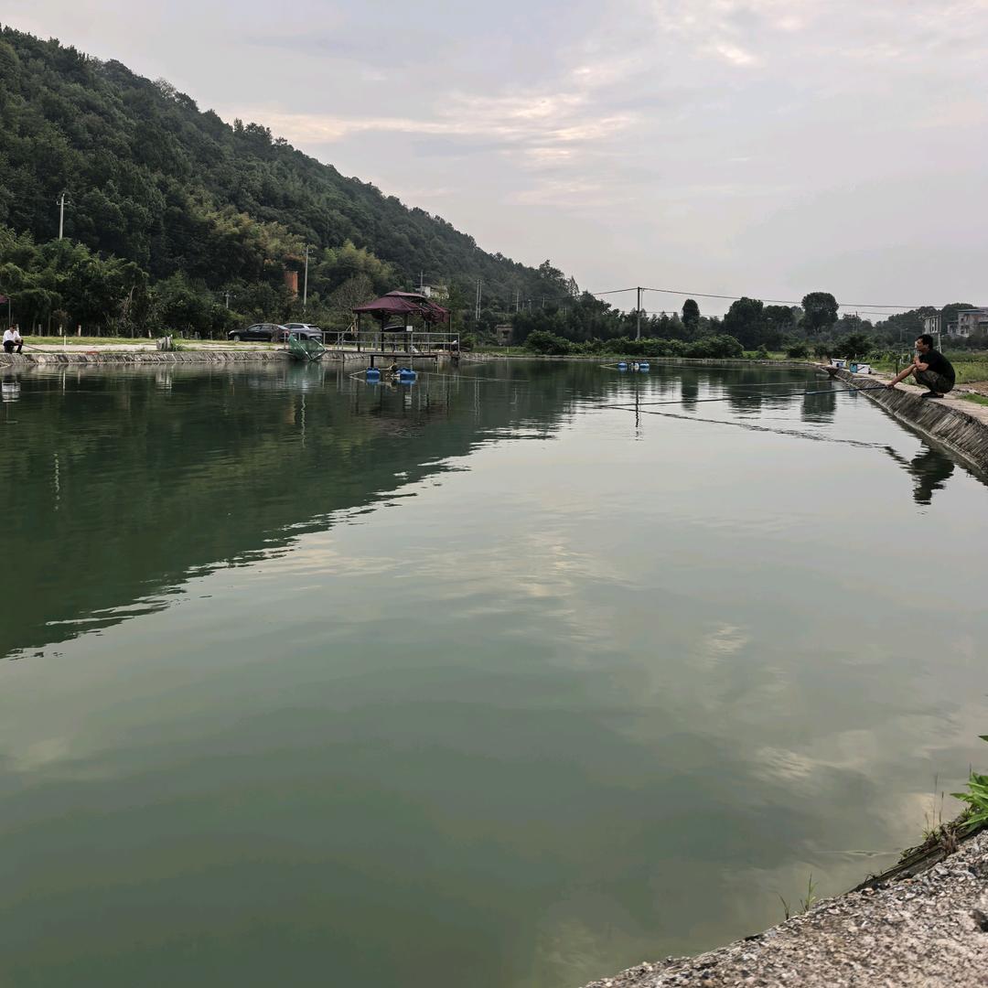 禾风生态垂钓园官方号