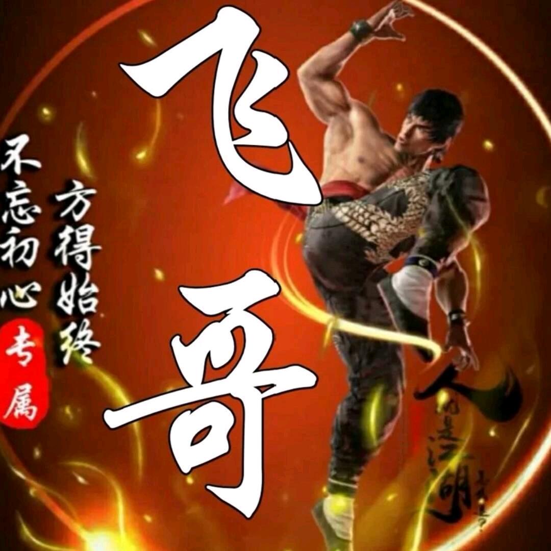 飛哥有点傻头像