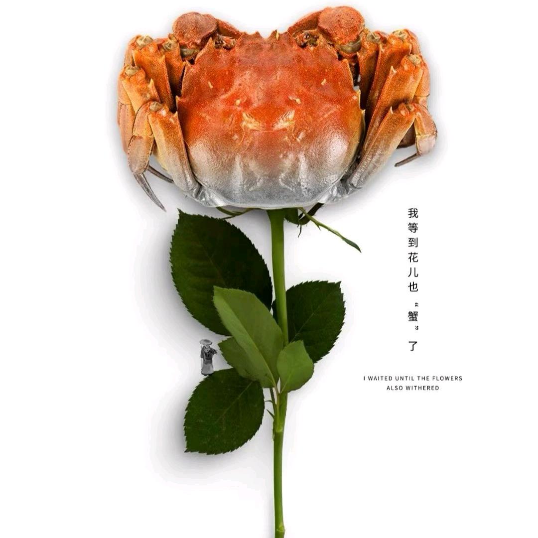 半大老者